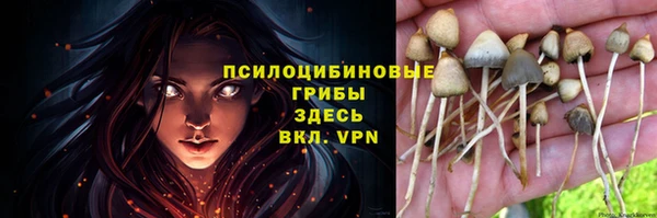 амф Алексеевка